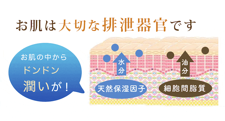 毛穴の詰まりが取れていないから